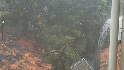 Heavy Rain Over Rooftops and Trees Stock Footage 306440042