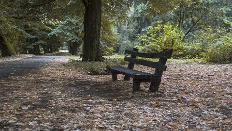 Heavy rain on park bench Stock Footage 87464422