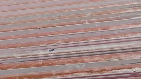 Heavy Rain Pounding on Red Rusty Corrugated Metal Roof Intense Downpour Stock Footage 346303975