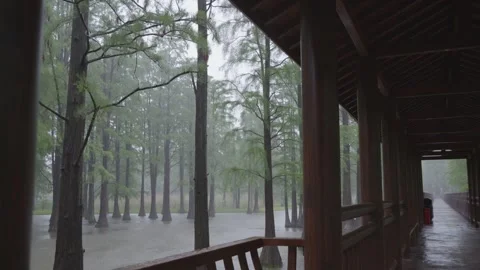 The heavy rain is pouring down from the eaves of the wooden corridor, 3 scen Stock Footage 337499171