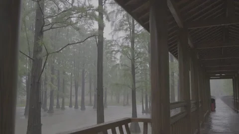 The heavy rain is pouring down from the eaves of the wooden corridor, 3 scen, Stock Footage 337499191