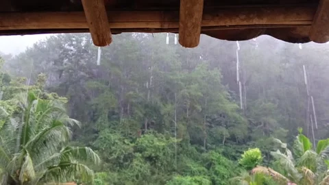 Heavy Rain Pouring Down on Tropical Forest Trees Viewed from Inside Rustic Woode 스톡 동영상 321934210