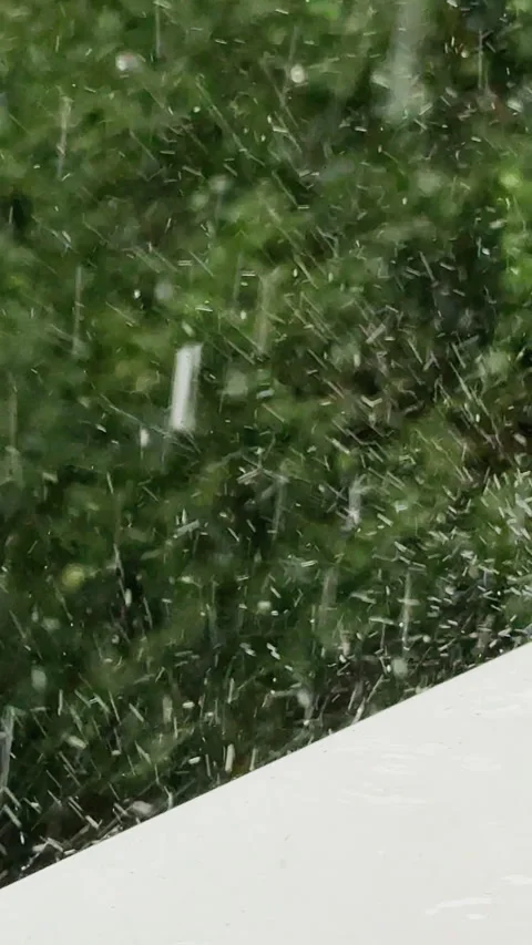 Heavy rain pouring during summer storm Stock Footage 341772304
