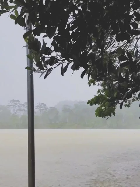 Heavy Rain Pouring Over Large Open River and Trees Stock Footage 341320538
