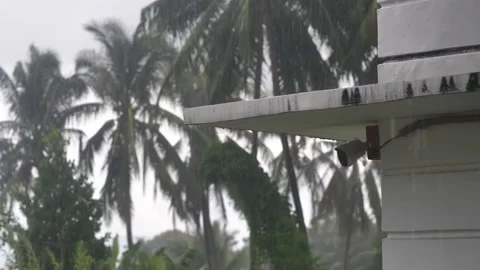 Heavy rain pouring over outside a house and the coconut trees at daytime in Asia Stock Footage 218280676