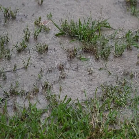 Heavy rain pouring in a puddle of mud and grass 動画素材 69458069