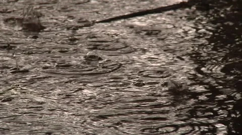 Heavy Rain in Puddle 스톡 동영상 40712932