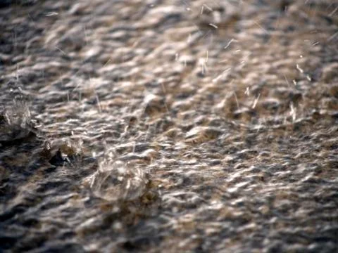 Heavy rain on a puddle Stock Photos