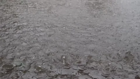 Heavy rain with raindrops splashing on the surface Stock Footage 294267988