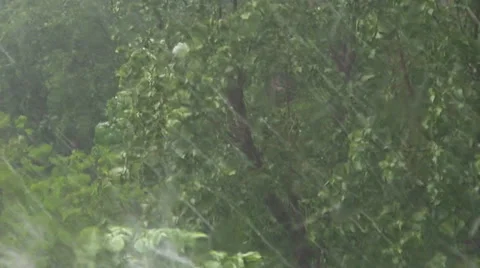 Heavy rain raindrops strike window glass summer day tree branch blow windy hail Video stock 39355662