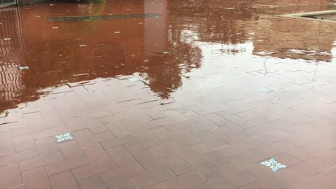 Heavy rain on Rome Stock Footage 116185528