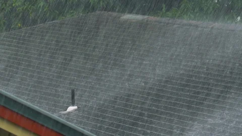 Heavy Rain Rooftop Wide, 4K Stock Footage 100998097