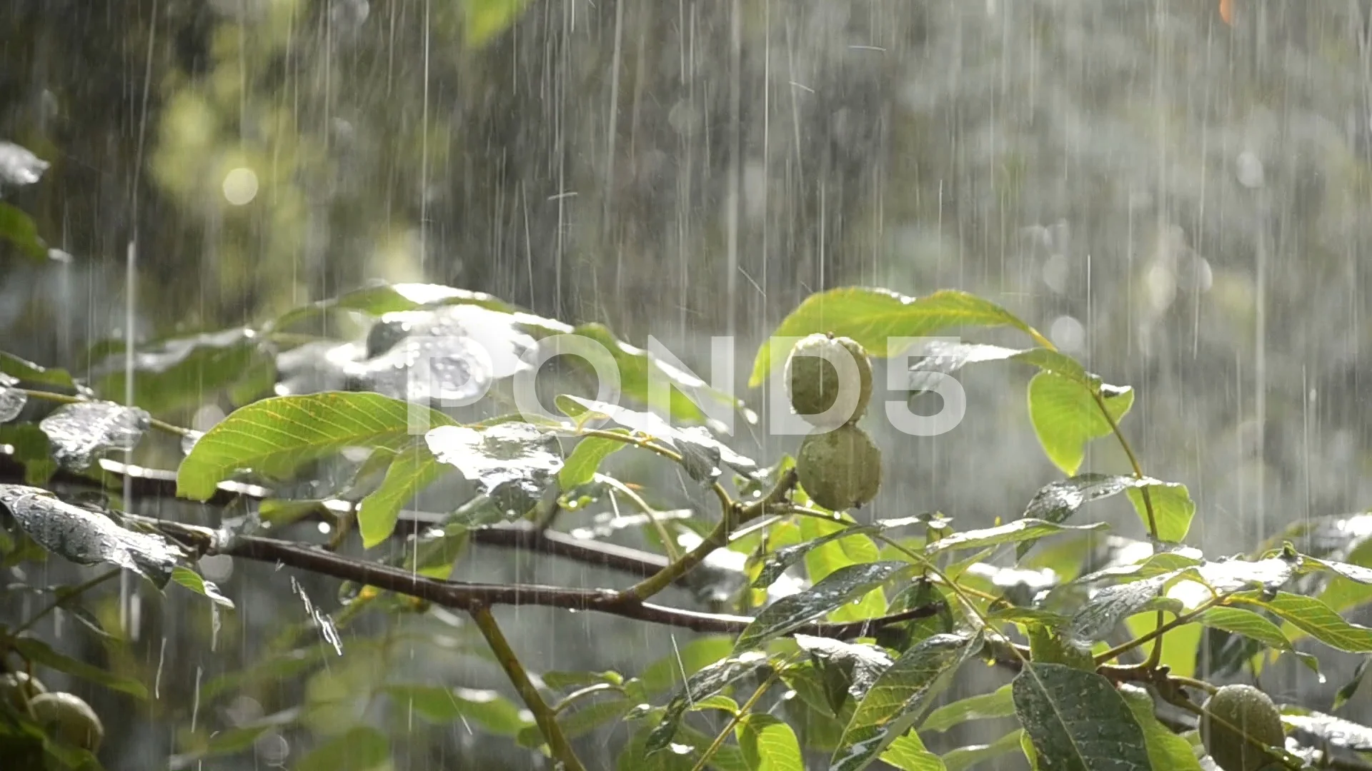 Heavy rain showers kcmaha