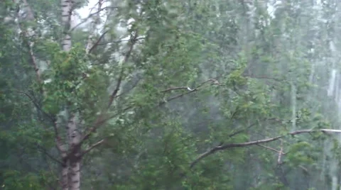 Heavy rain shower Stock Footage 68722580