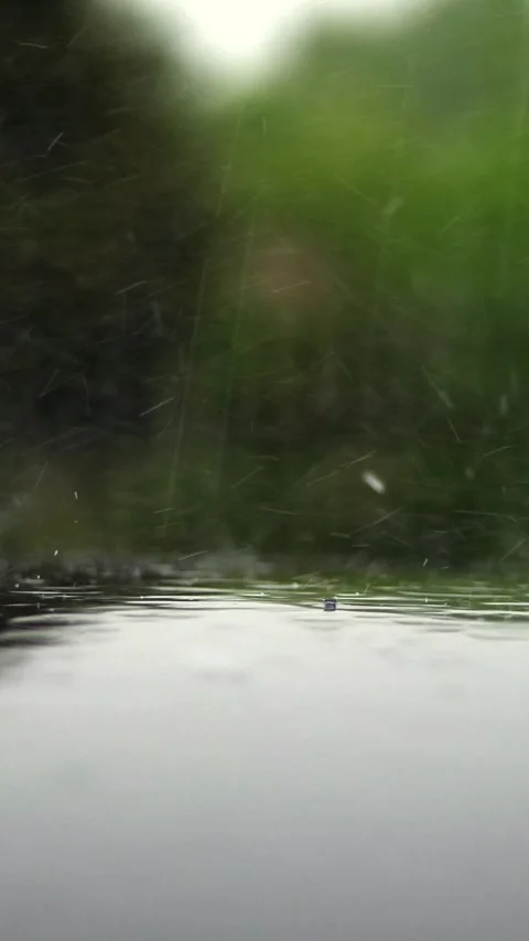 Heavy rain, shower, heavy drops fall with Water splashes, on wet surface of Stock Footage 309095756