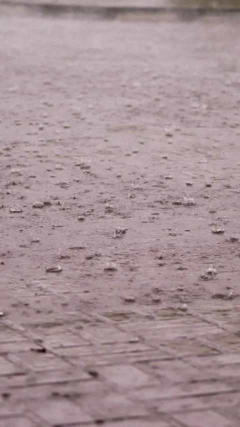 Heavy rain, a shower, large heavy drops drip onto the street tiles. rain drop on Stock Footage 310702259