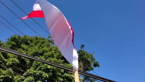 Heavy rain on the side of the road Stock Footage 247005780