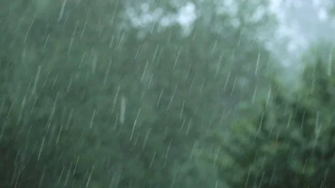 Heavy Rain - slow motion Stock Footage