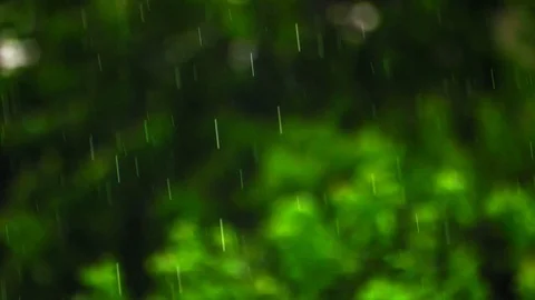 Heavy Rain Slow Motion Raindrops on Green Foliage Background Video stock 111056244