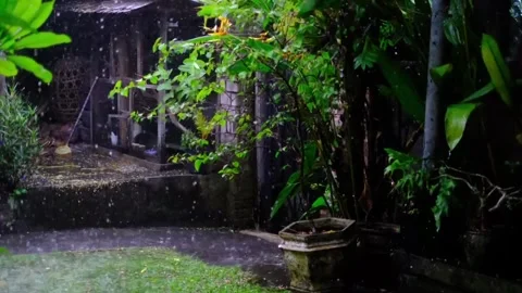 Heavy rain in a small courtyard Stock Footage 262523835