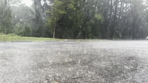Heavy Rain Splashing on Empty Parking Lot, Green Trees and Bushes, Hurricane Stock Footage 341366484