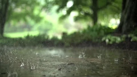 Heavy Rain Splashing on Ground with Blurred Green Background Stock-Footage 339033279