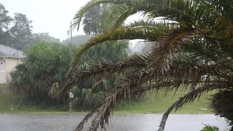 Heavy rain storm Stock Footage 88955315