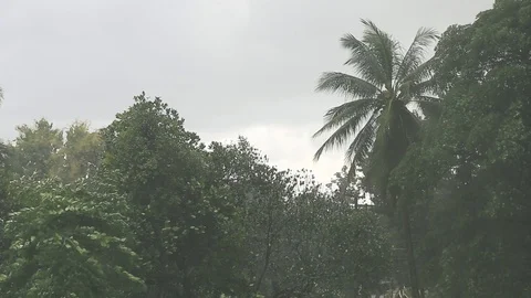 Heavy rain storm Stock Footage 118249886