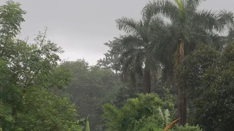 Heavy rain storm Stock Footage 118249928