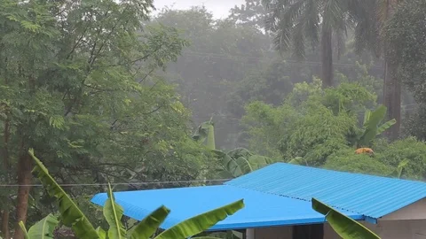 Heavy rain storm Stock Footage 118249967