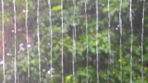 Heavy rain storm Stock Footage 217374142