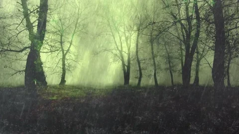 Heavy Rain storm Stock Footage 235743575