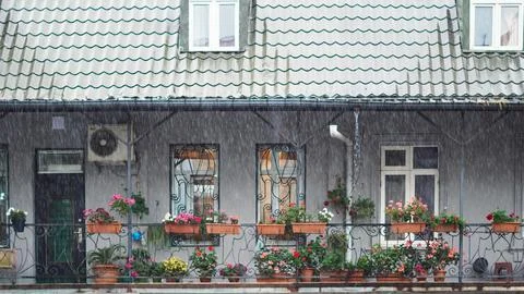 Heavy rain streaks in sharp focus against a beautifully blurred house backgro Stock Photos
