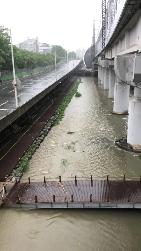 Heavy rain in the stream Stock Footage 245350868