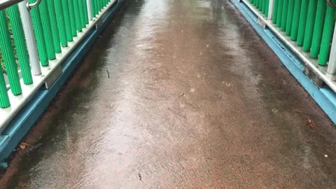 Heavy rain in the stream Vídeos de archivo 245351618