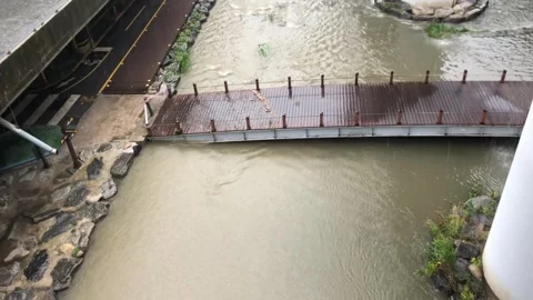 Heavy rain in the stream Video stock 245351655