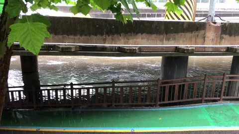 Heavy rain in the stream Stock Footage 245351874