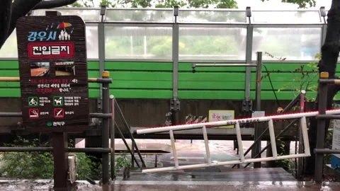 Heavy rain in the stream Stock Footage 245351906