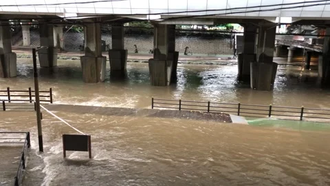 Heavy rain in the stream Vídeos de archivo 245351968