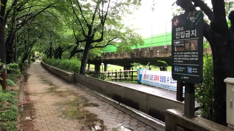 Heavy rain in the stream Stock Footage 245352027