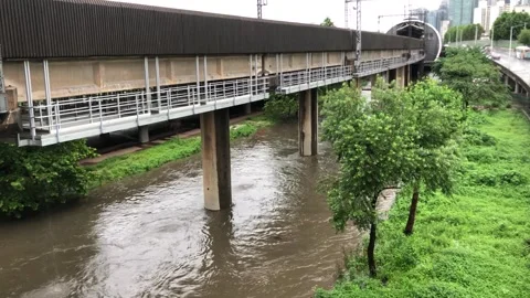Heavy rain in the stream Stock Footage 245352081