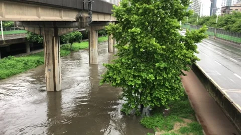 Heavy rain in the stream Vídeos de archivo 245352100