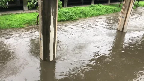 Heavy rain in the stream 스톡 동영상 245352105