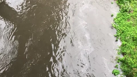 Heavy rain in the stream Vídeos de archivo 245352106