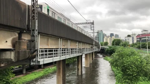 Heavy rain in the stream 動画素材 245352205