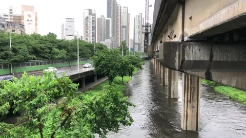 Heavy rain in the stream Stock Footage 245352207