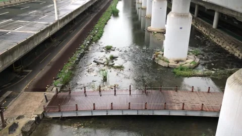 Heavy rain in the stream 스톡 동영상 245352232