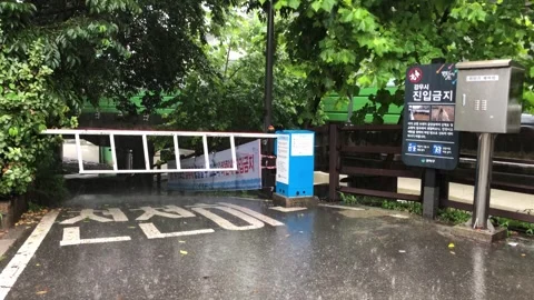Heavy rain in the stream Stock Footage 245353974