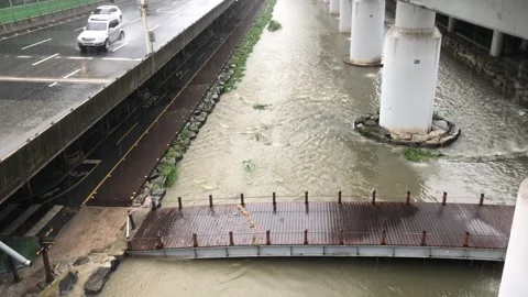 Heavy rain in the stream Vídeos de archivo 245354195