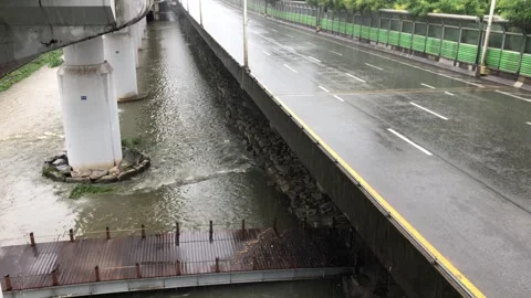 Heavy rain in the stream Stock Footage 245354213
